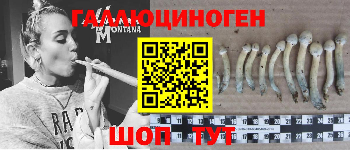 Псилоцибиновые грибы прущие грибы Лабытнанги