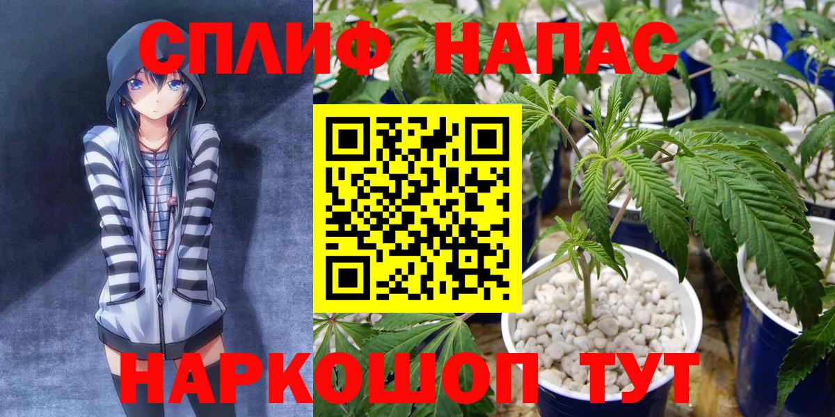 Марихуана конопля Лабытнанги